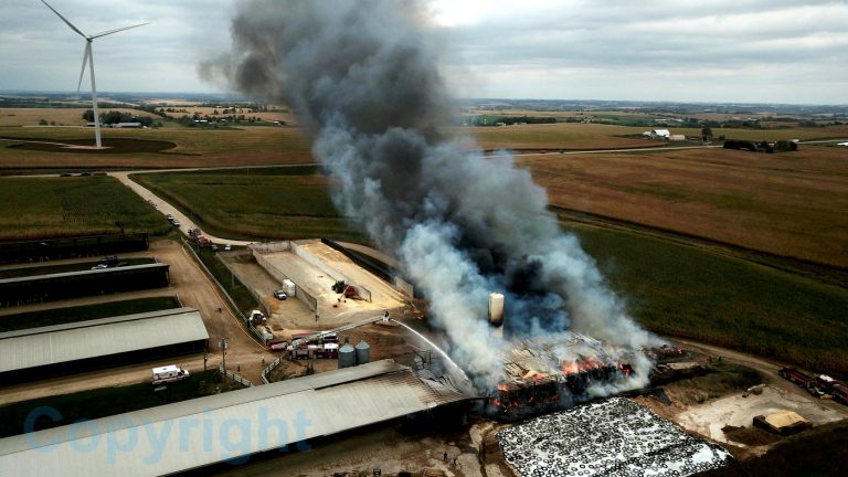 10032017 barnfirenew dk 768x432