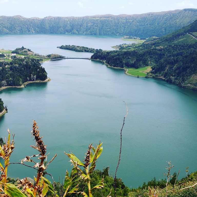 IMG 20190408 111107 910 768x768