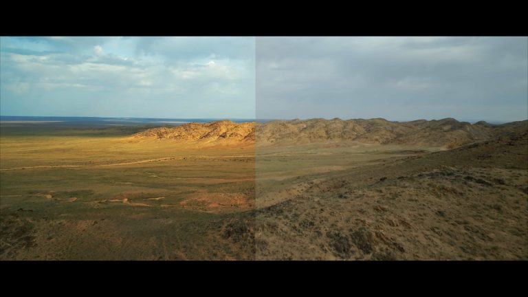 Screen Shot 2019 08 13 at 3.42.30 PM 768x432