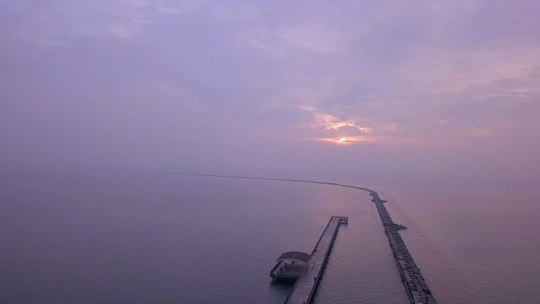 Screen Shot 2019 08 13 at 3.44.43 PM 768x432