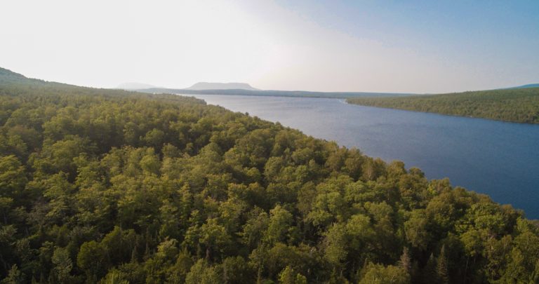 YUN00051.mp4.00 04 27 13.Still003 768x405