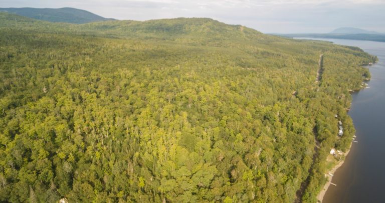 YUN00054.mp4.00 02 54 09.Still004 768x405