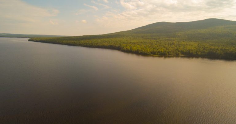 YUN00057.mp4.00 01 23 19.Still005 768x405