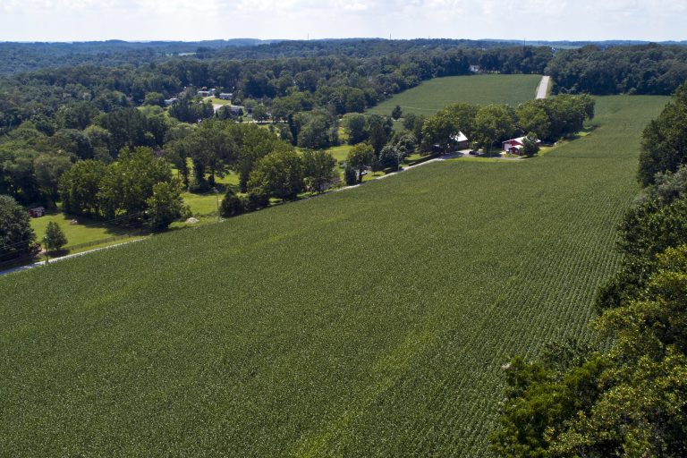 2Sommer farm 768x512