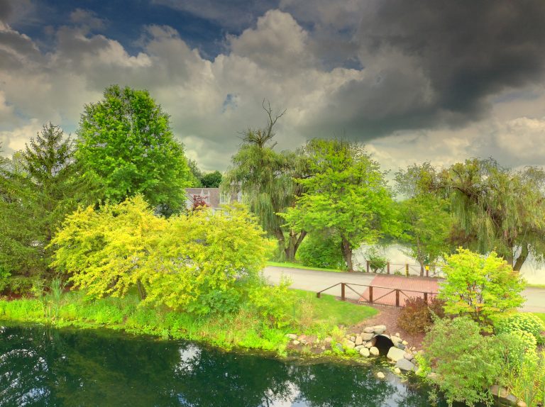 880C7FE4 7E67 44B5 9BD7 FBA9C2833970 768x574