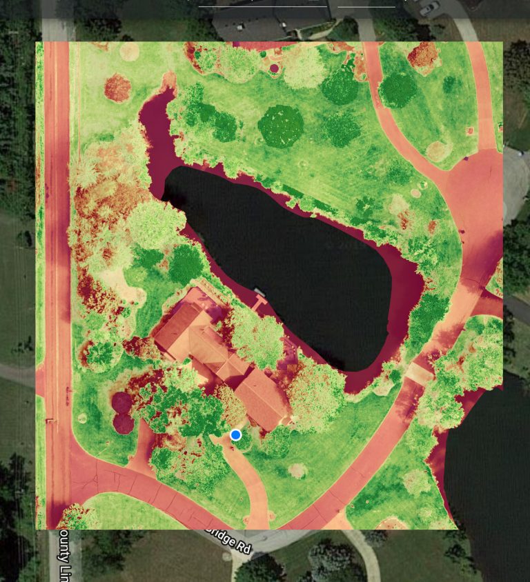 92F22A78 DFE8 4E49 BEA5 0DF573EC6D27 768x844