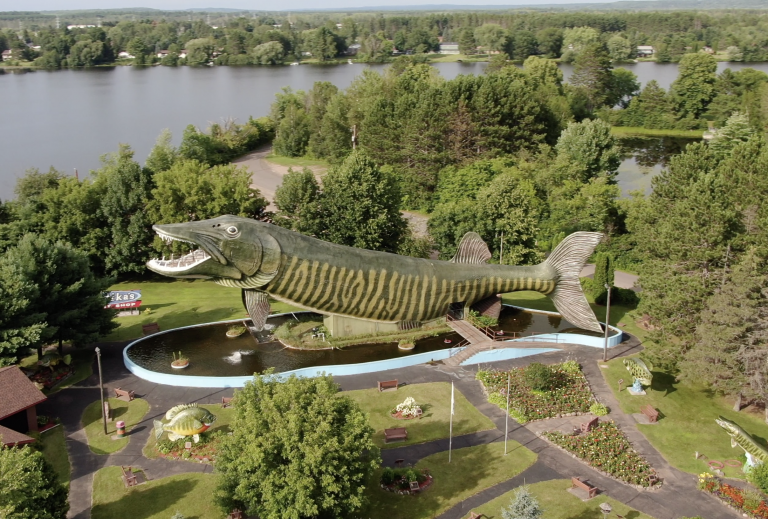 Giant Musky 2019 768x519