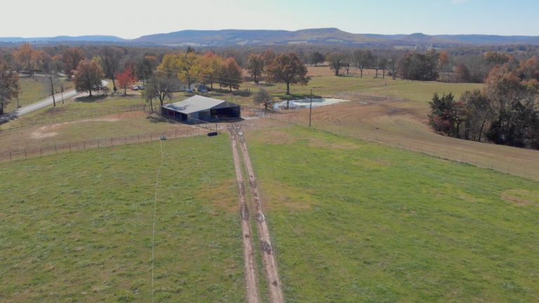 1176 CR 811.00 03 01 15.Still023 768x432