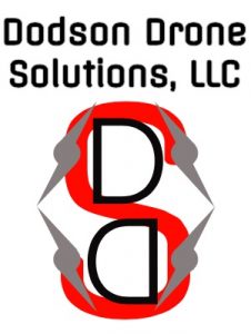 DDS logo 2 226x300