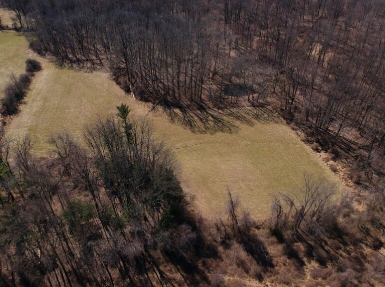 Agricultural Assessment 768x573