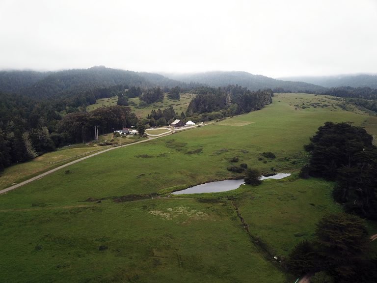 drone photography farming with drone dash usa 768x576