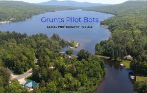 Grunts Pilot Bots 300x191