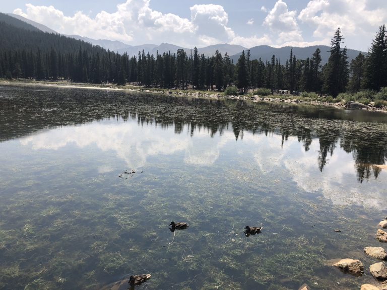 2AB4D24B 96A8 4878 A6FF 7BBD98D60B38 768x576