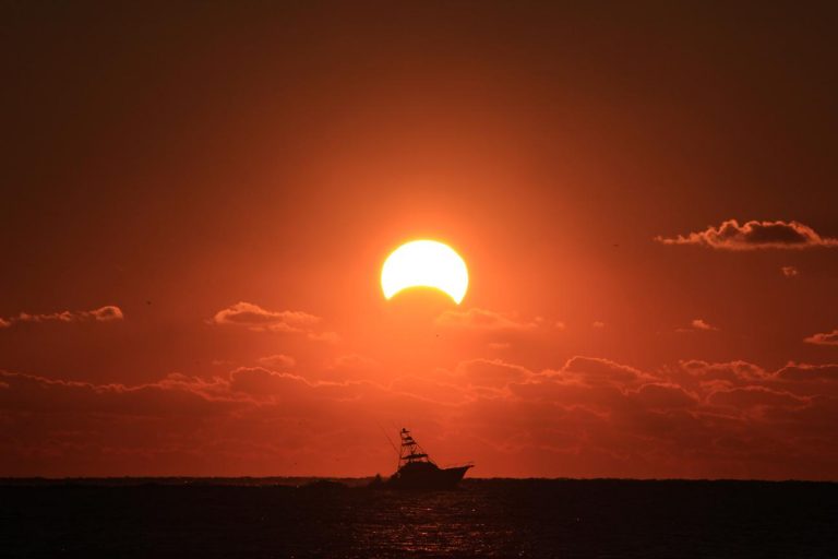 IMG 2746web.JPG 768x512