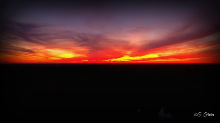 71703003 2417938641620313 6866979654863945728 o 768x432