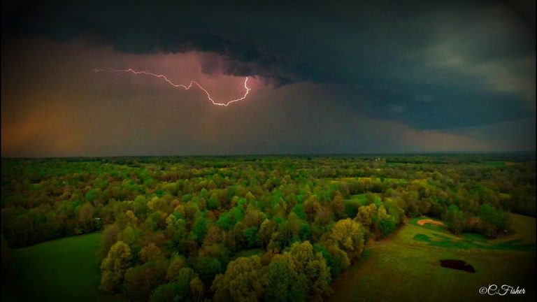 92485115 2833493066731533 6081087694388068352 o 768x432