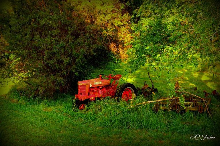 97917141 2921300444617461 8305332110298710016 o 768x511