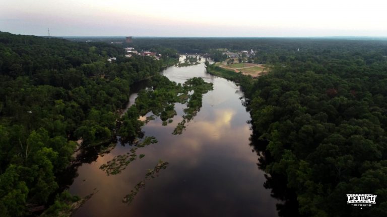 vlcsnap 00121 Hazey Dazey Summer 768x432