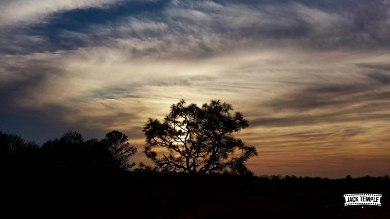 vlcsnap 00248 768x432