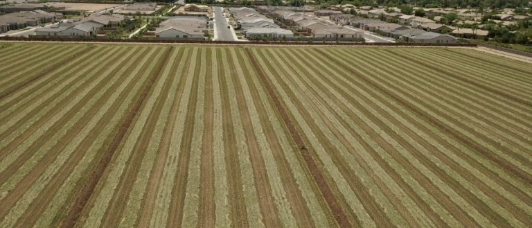 3A0A63E0 BB7D 418D 87F4 E181341C7697 768x329