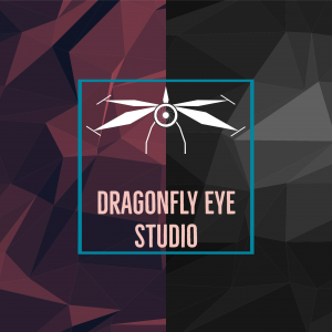 Dragonfly Eye Studio 1 300x300