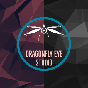 Dragonfly Eye Studio copy 300x300