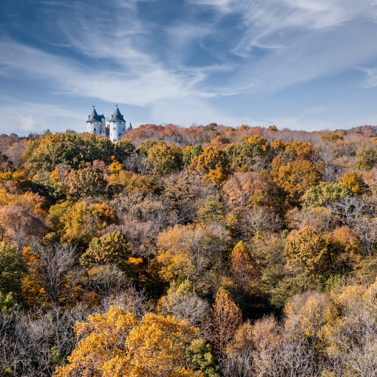 Castle Gwynn in Autumn.JPG 768x768