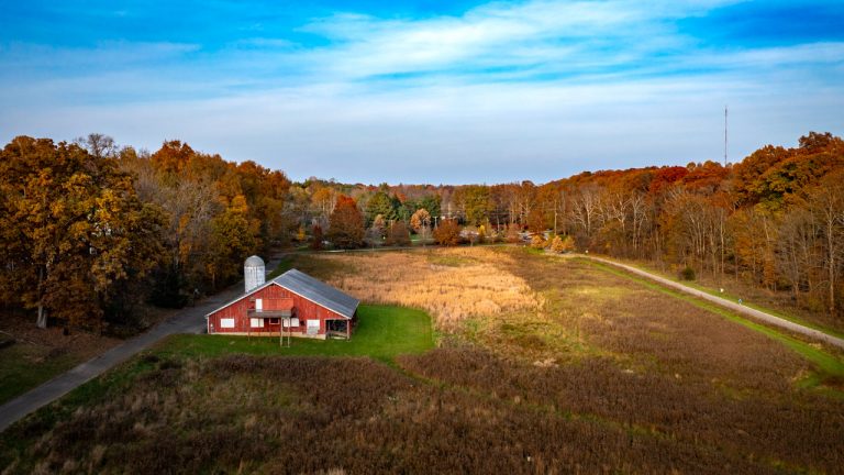 DJI 0028 16 9 768x432