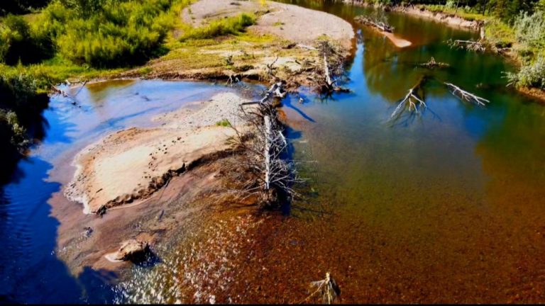 Screenshot 20220404 195724 Gallery 768x432