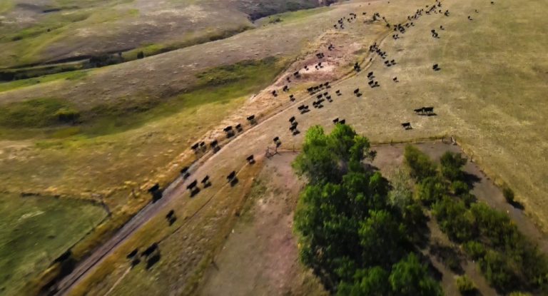 Screenshot 20220404 195805 Gallery 768x415