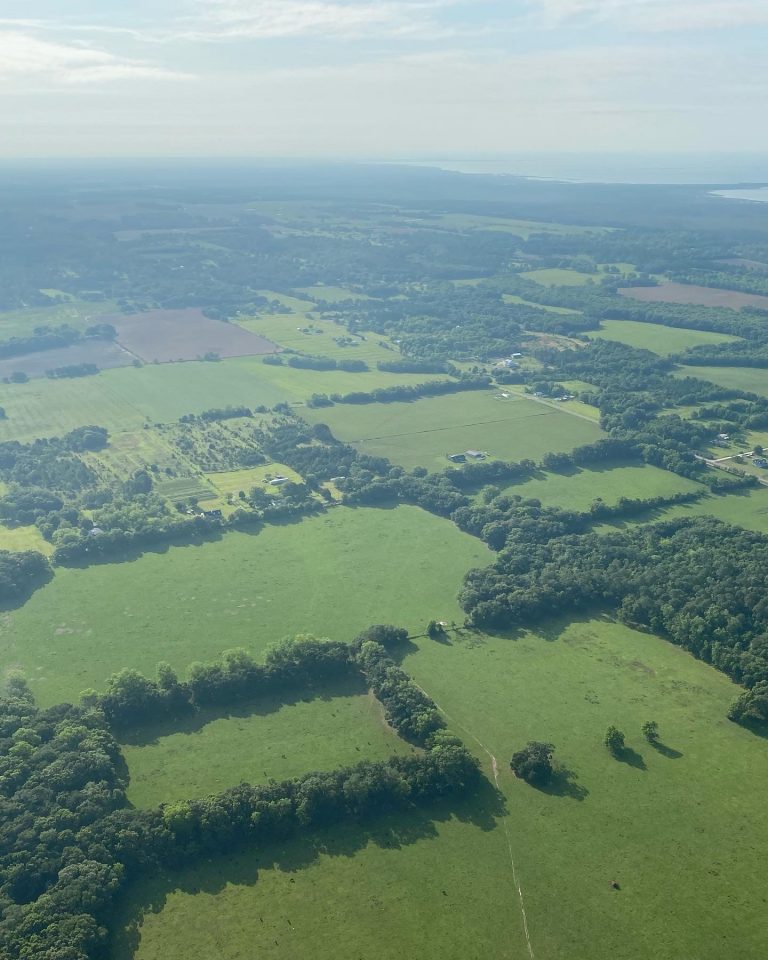 A7CEDC62 A141 47C6 8FCA 471BD7B9B1AC 768x960