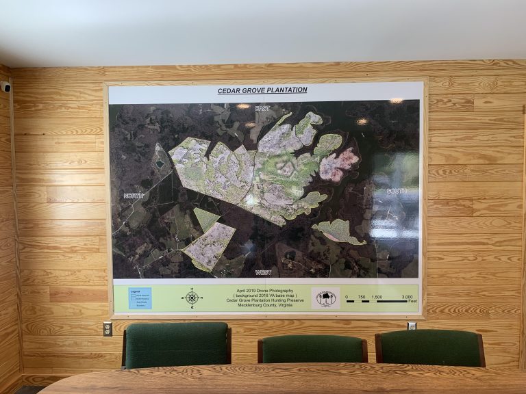 Cedar Groveon wall 768x576