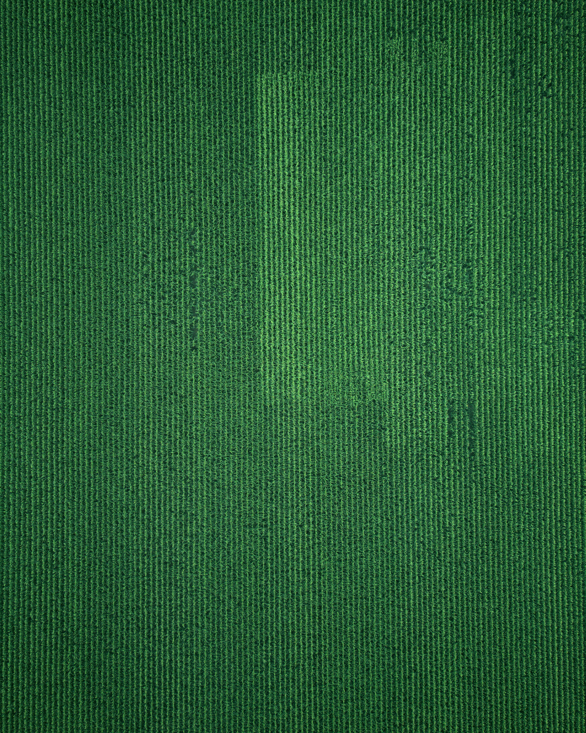 58BFCEC8 494C 417B 8BFE 8C6F5AFE6005