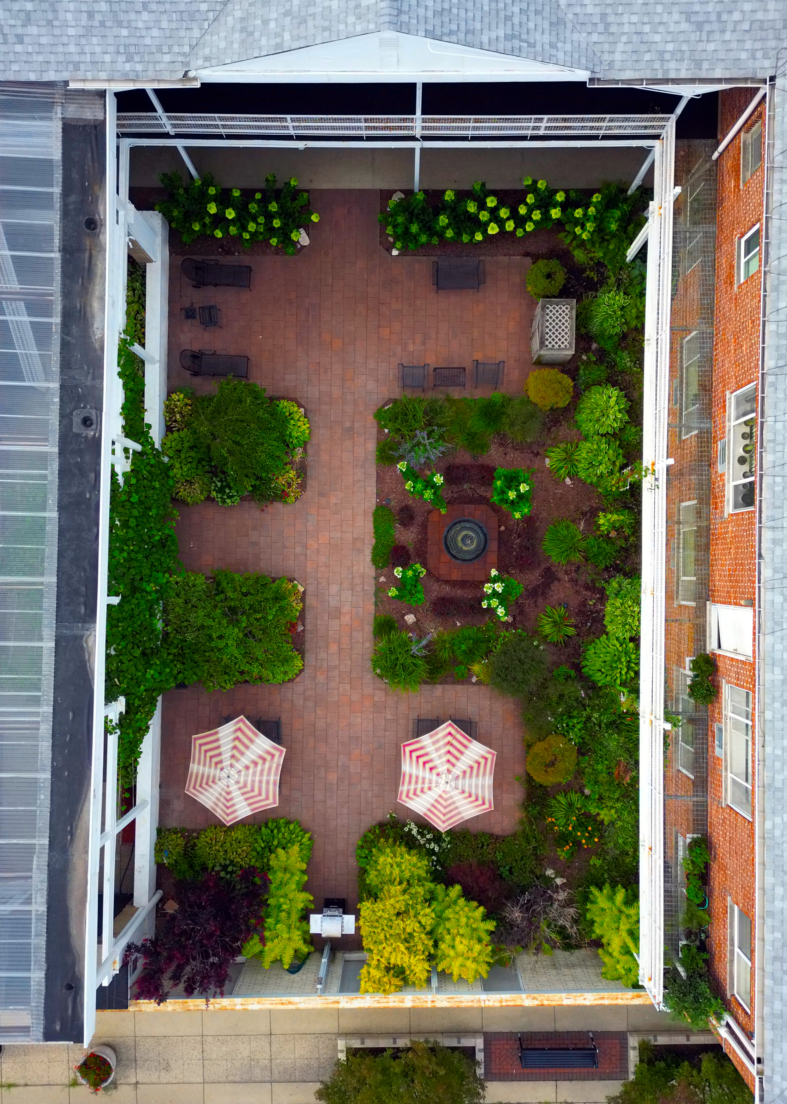 Chickadee Top Down Courtyard