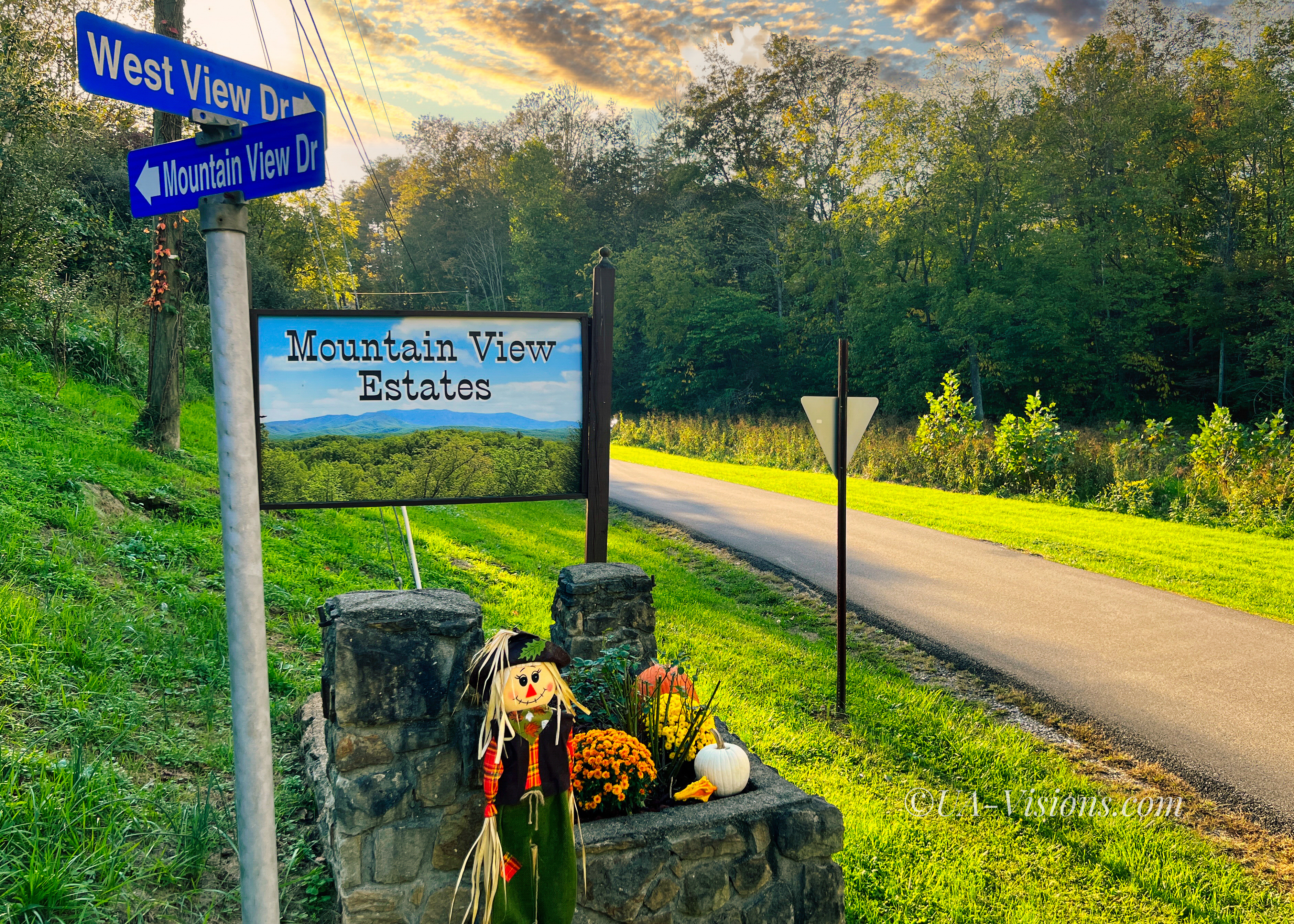 Full Size Sample Real Estate Ripley 3