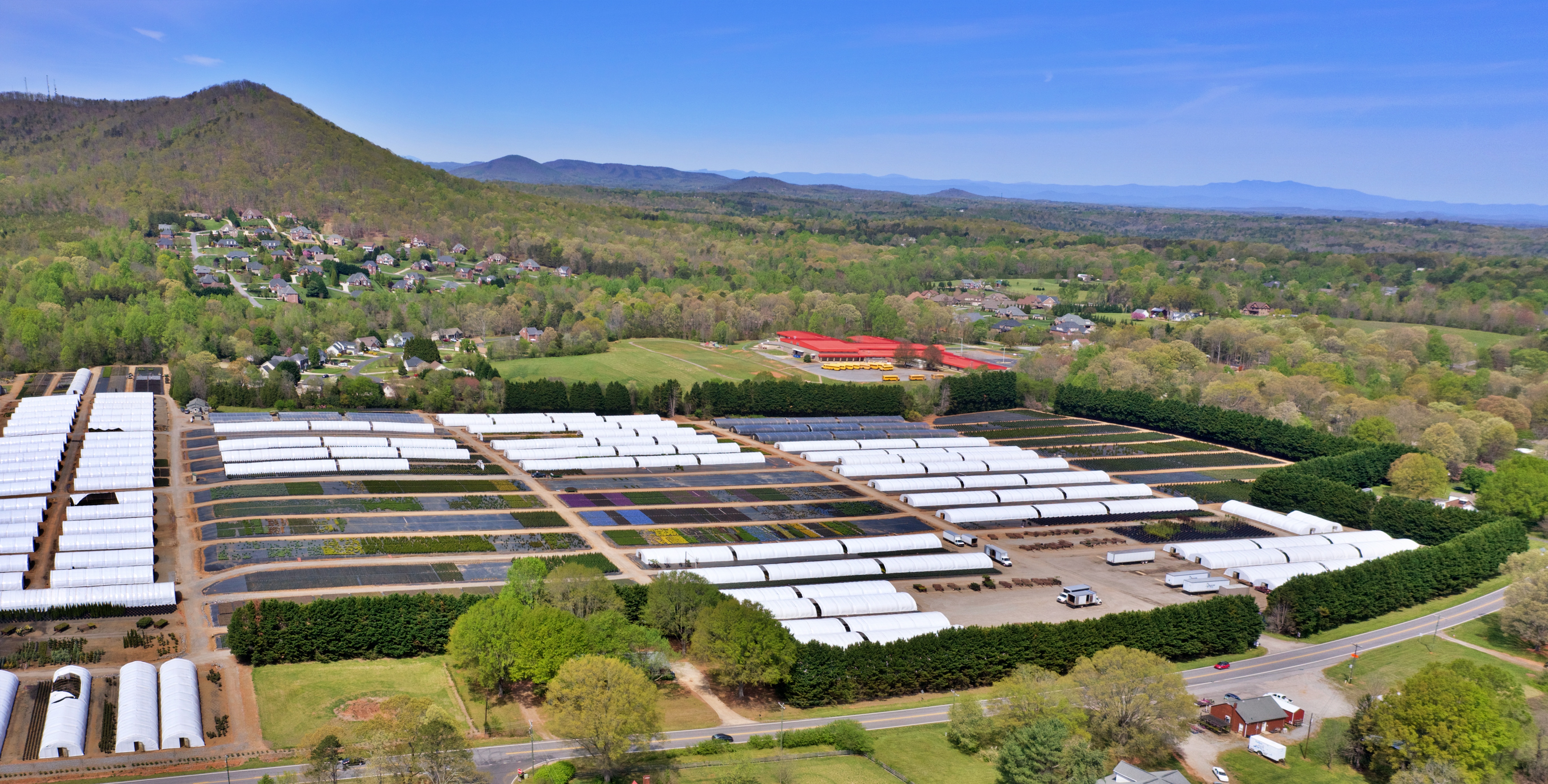 NC NURSERY NC NURSERY