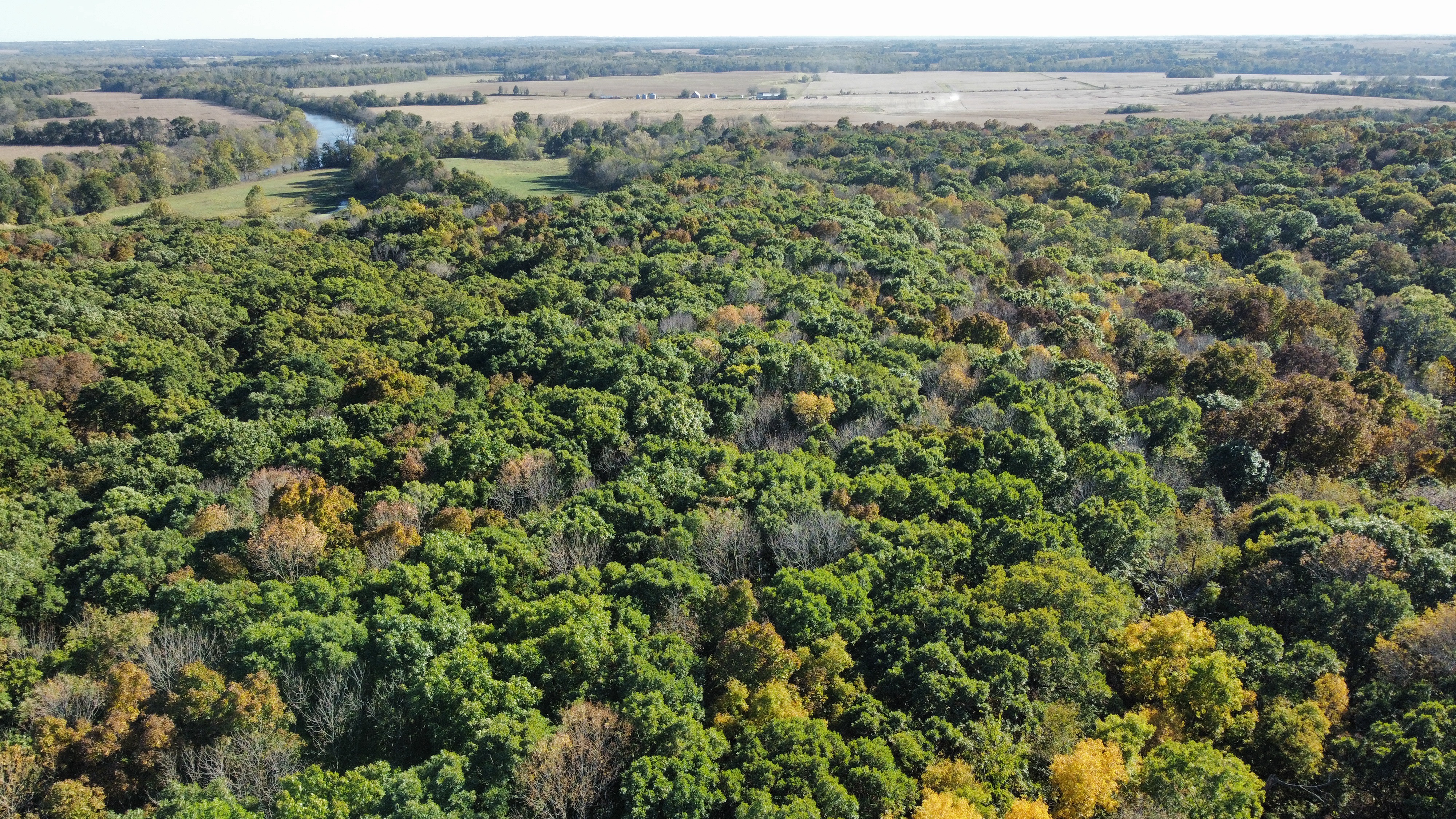 RemoteMediaFile 6553660 0 2021 10 18 16 04 56