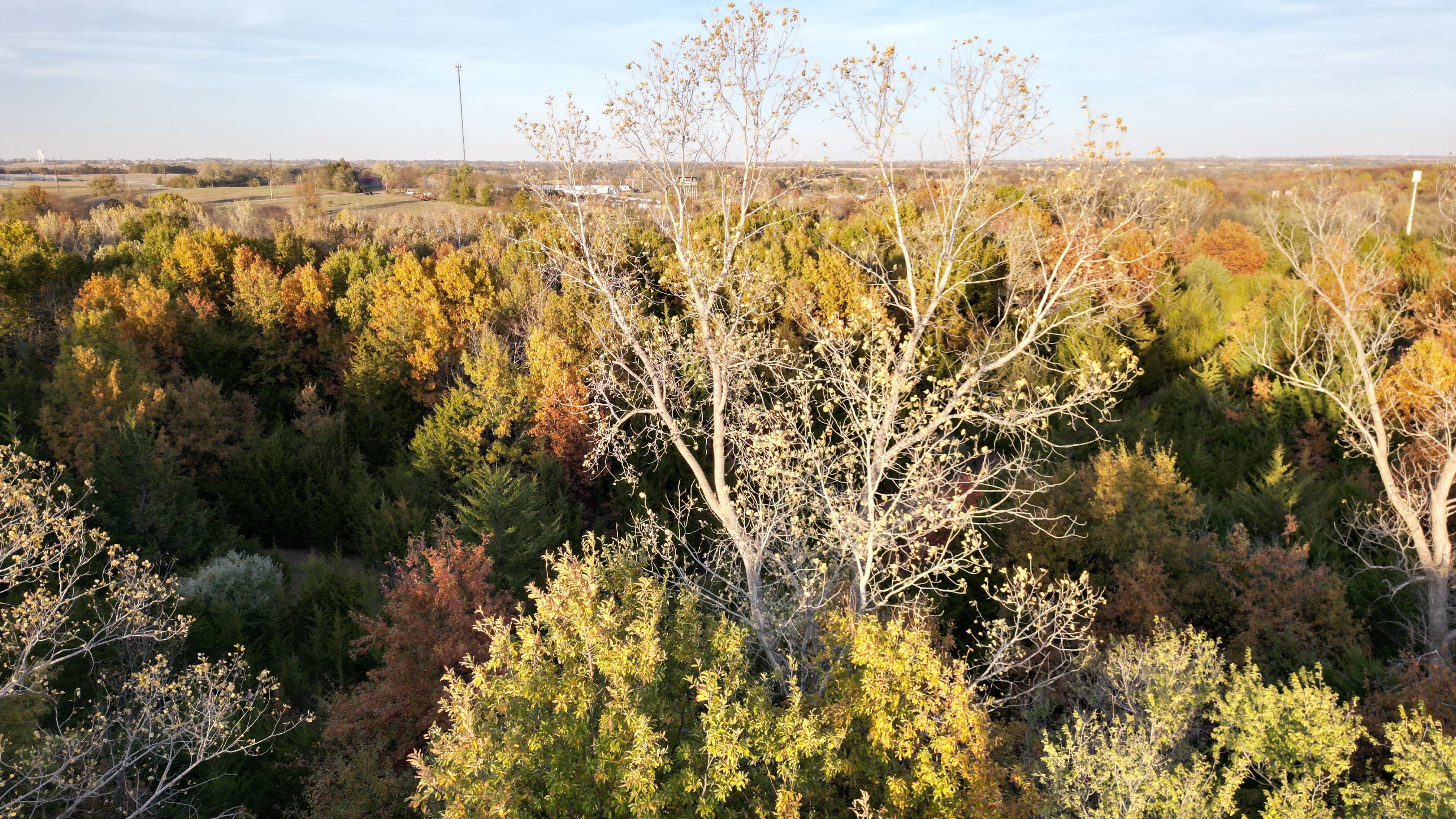 dji fly 20221021 174532 33 1666392486395 photo