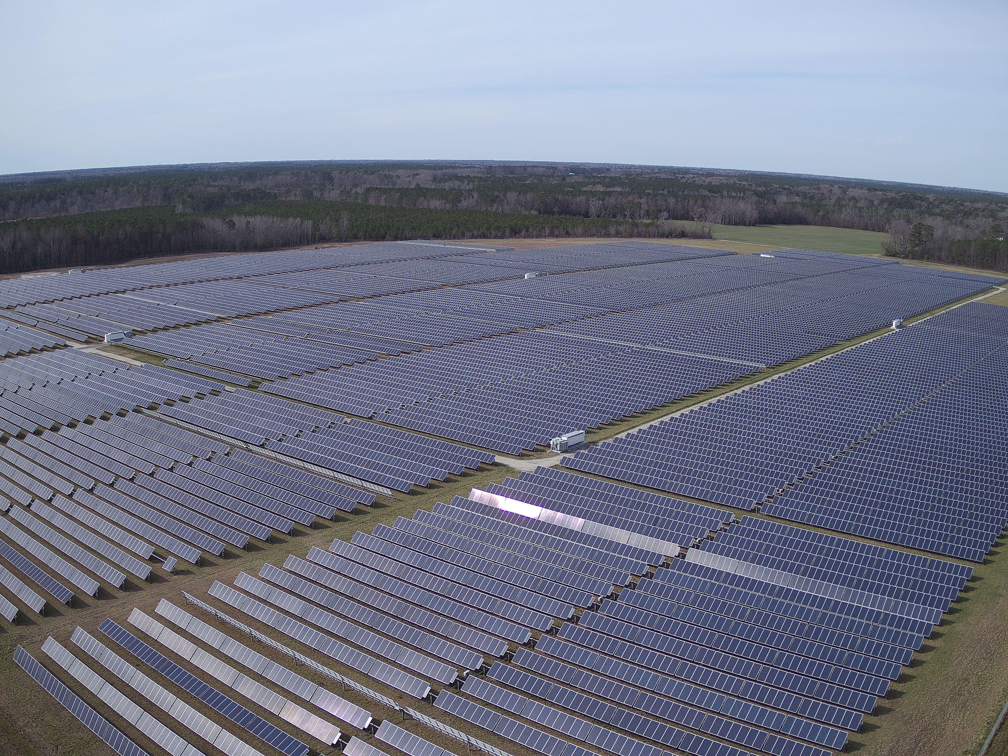 201DE142 54F7 4B3F 8815 F21C03060D9B