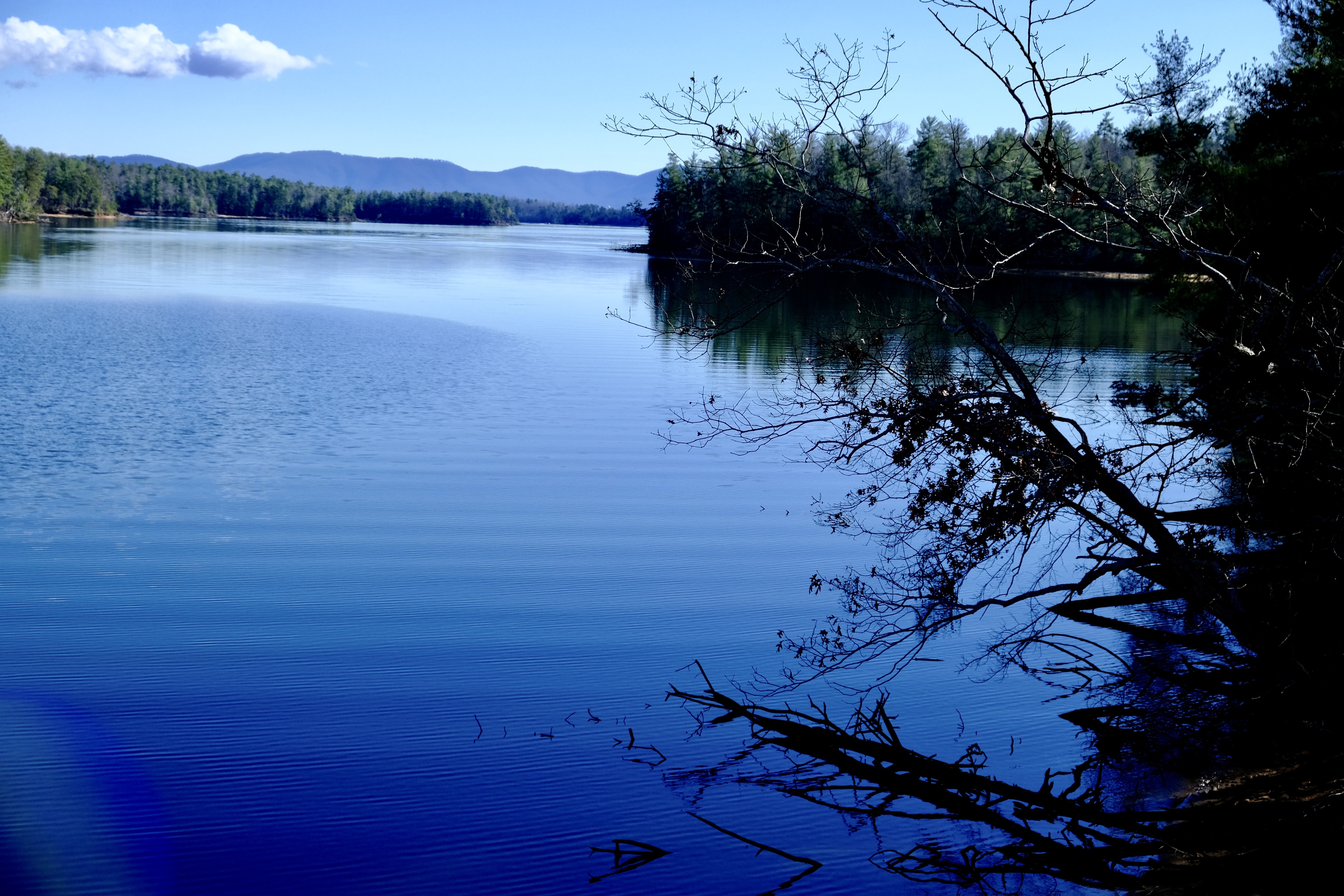 42888322 8E53 4BFE BFDB 8C7AFD4FC4A4