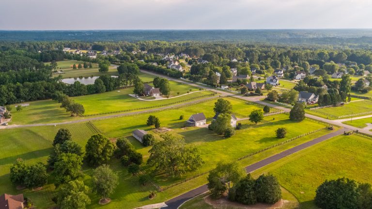 Demo18Web11 14 19 768x432