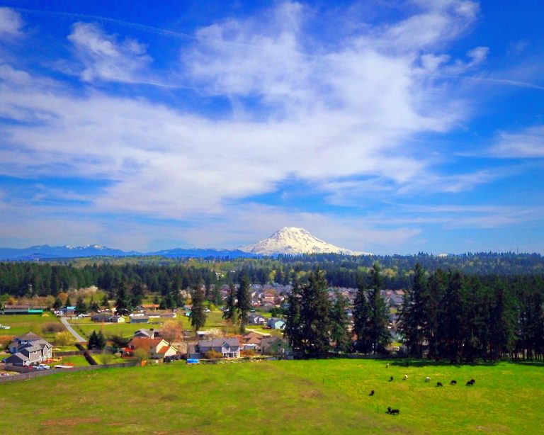 MtRainier 04242018 1 768x614