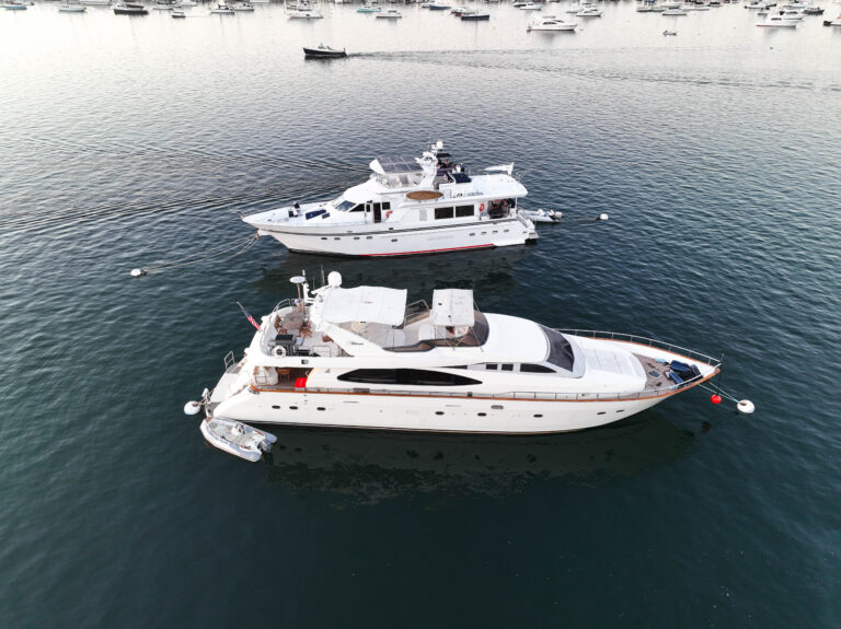 1BC8D818 49FE 4BB2 8ED9 4DAE45ECB561 768x575