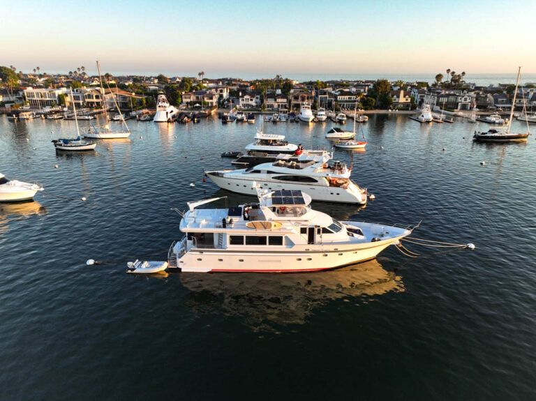 3097850A CD3A 430E 8752 9C5EE05F3DD2 1 105 c 768x575