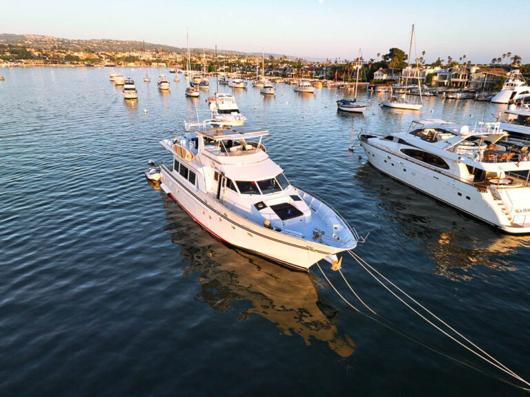 CE19339C 0218 4AEE 9B84 5333F013C53F 1 105 c 768x575