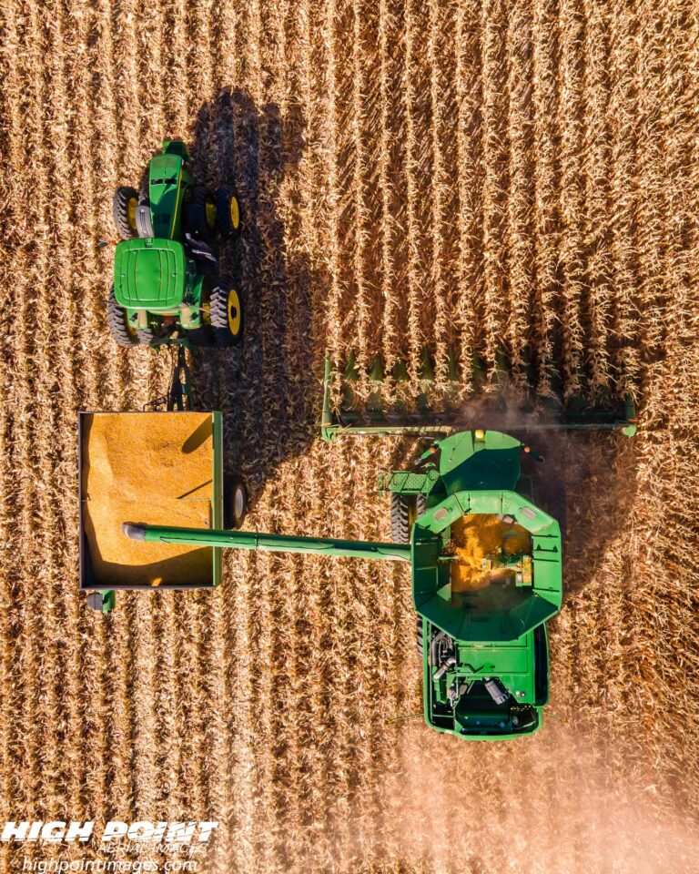 312624646 1370279490389860 3167876538395210414 n 768x960