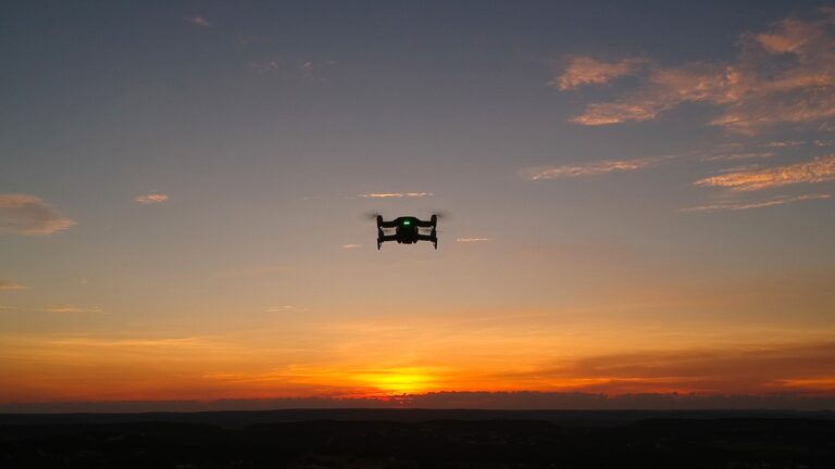 66677557 10217448257691237 2617142943202410496 o 768x432