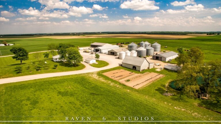 32420292 1956452064405365 8059088453964398592 o 768x432