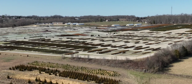 Studio 1 Project 768x338